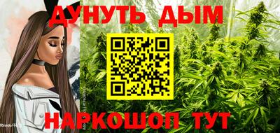 прущие крисы Малгобек